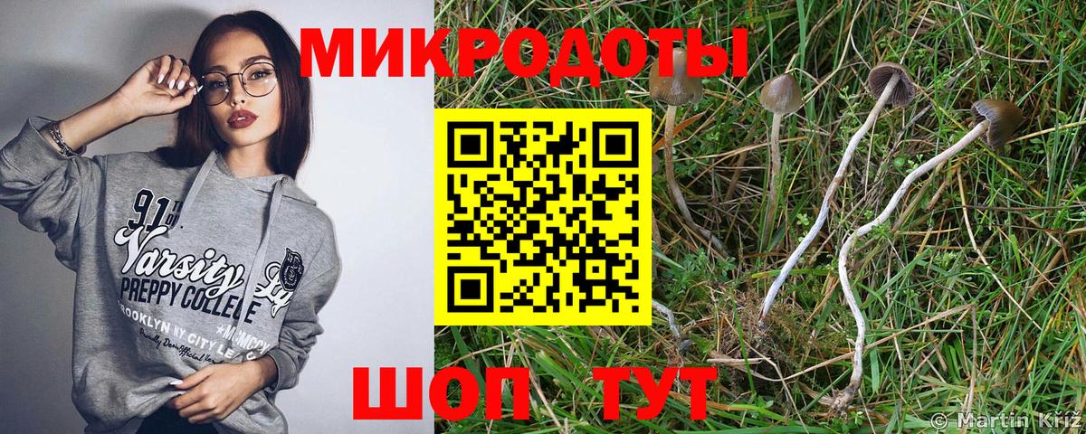 Наро-Фоминск  Галлюциногенные грибы Cubensis  Вход с VPN 